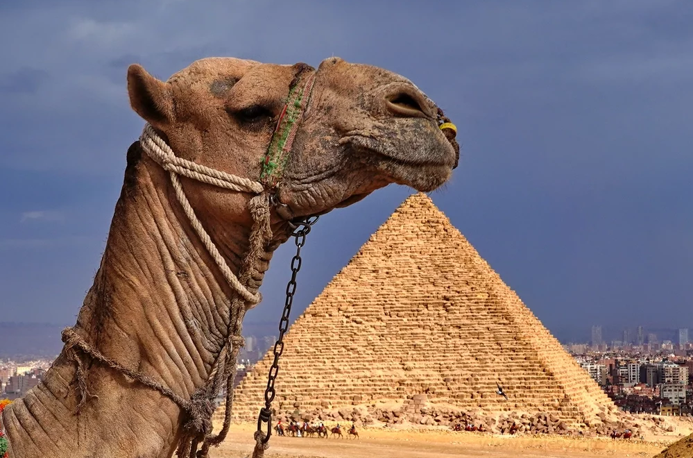Pyramids of Giza - cairo tours